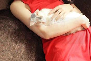 青豆客 – 娜依灵儿网袜写真，分享一把让人眼前一亮的创造力。